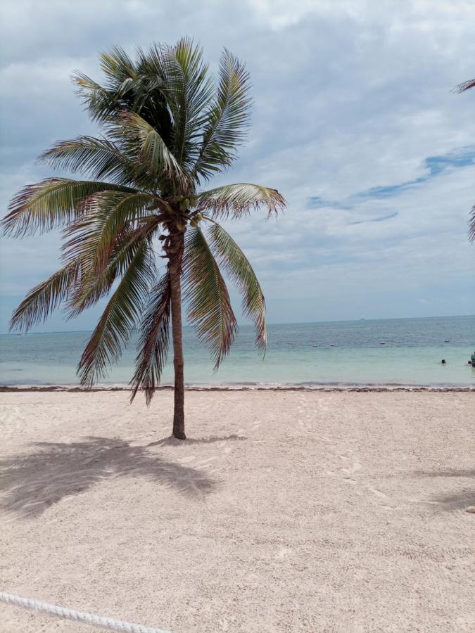 Corazon Del Pescador Lejlighed Cancún Eksteriør billede