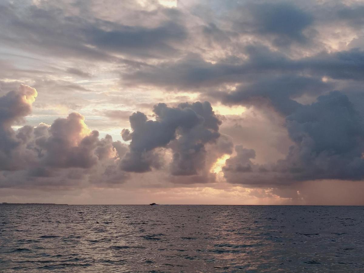 Corazon Del Pescador Lejlighed Cancún Eksteriør billede
