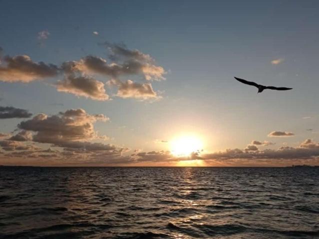 Corazon Del Pescador Lejlighed Cancún Eksteriør billede